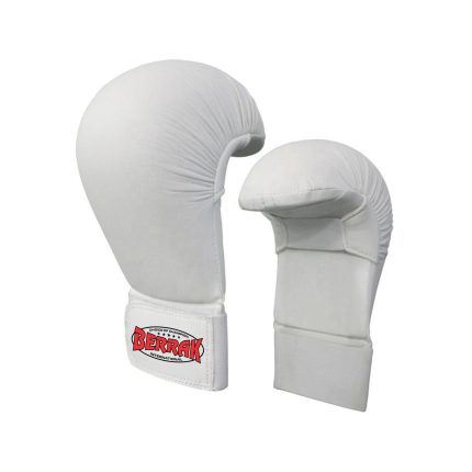 Karate Gloves